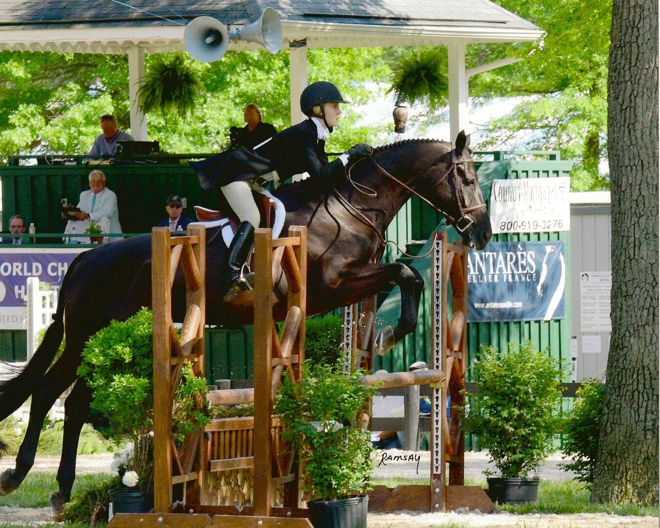 Carolyn Pace riding a dark horse over a show jumping fence in competition.